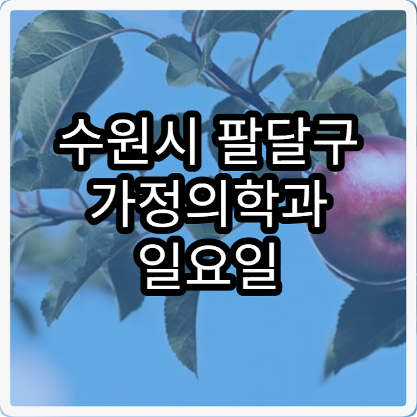 수원시 팔달구 가정의학과 일요일 진료 병원 만성질환 관리 가능한 곳 안내