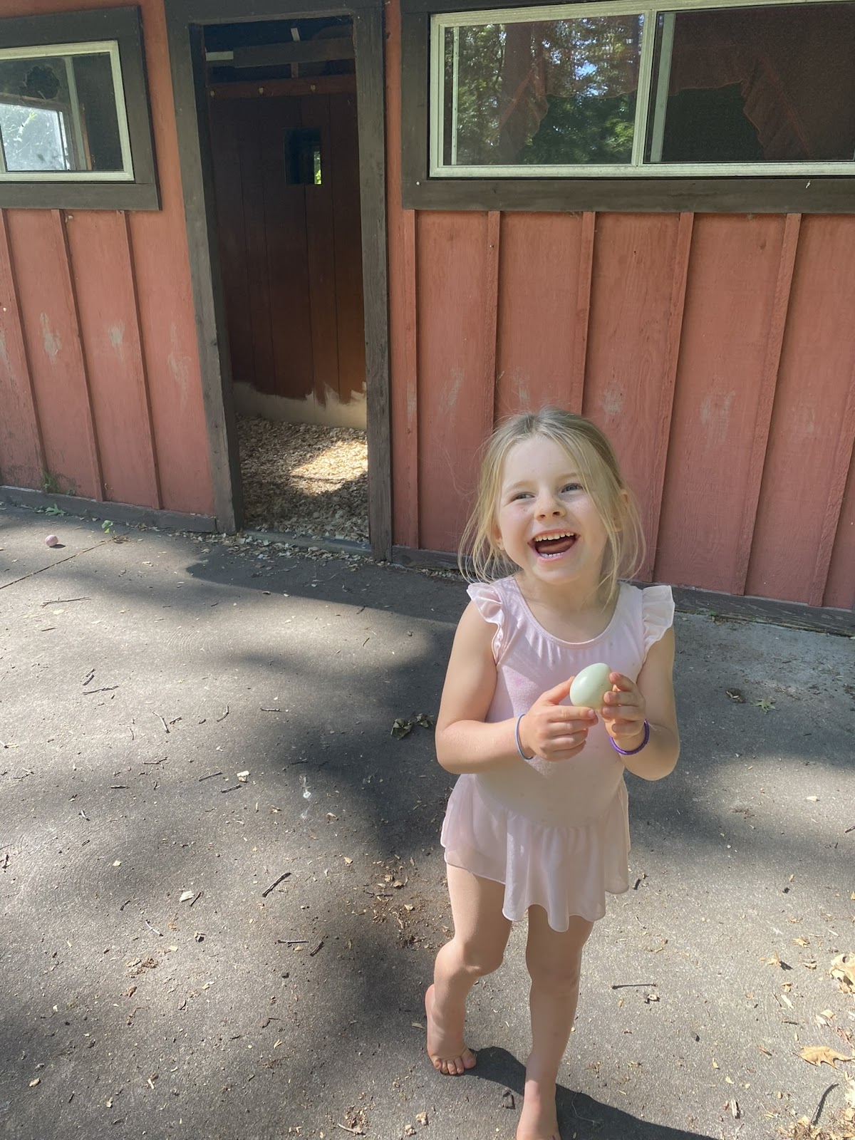 Chocolate Runner Duckling