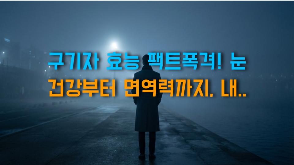 구기자 효능 팩트폭격! 눈 건강부터 면역력까지, 내 몸을 지키는 슈퍼푸드의 비밀