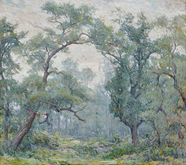 Old Willows