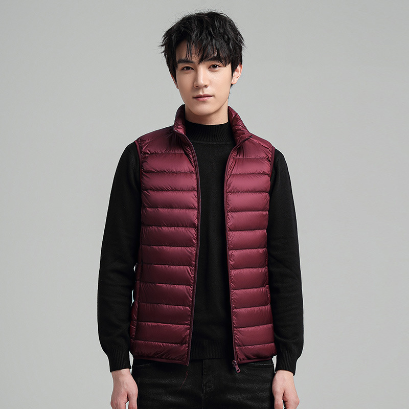 Men's down jacket, lightweight, short, with duck down