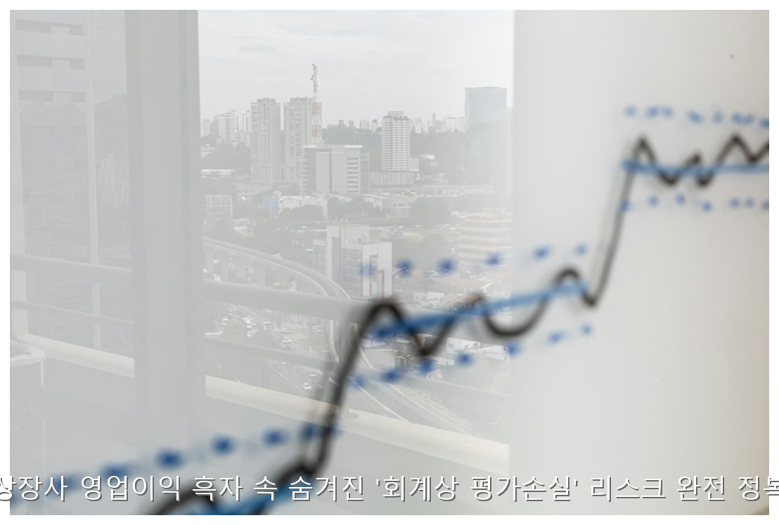 영업이익 흑자 속 숨겨진 평가손실 리스크 분석 핵심 안내 및 분석 인포그래픽 (4)