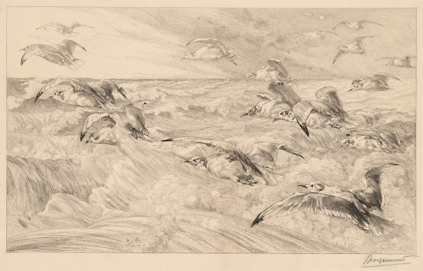 Seagulls Les Mouettes c 1882