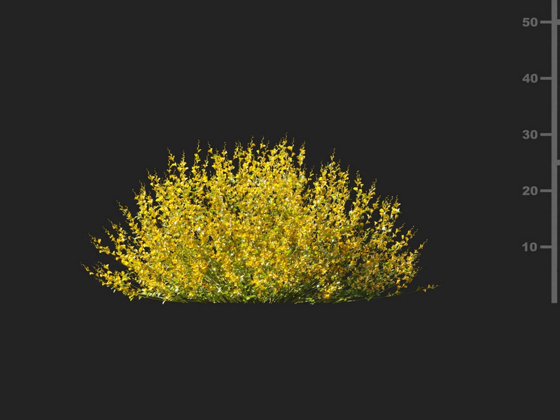 Maxtree - Plant Models Vol.127