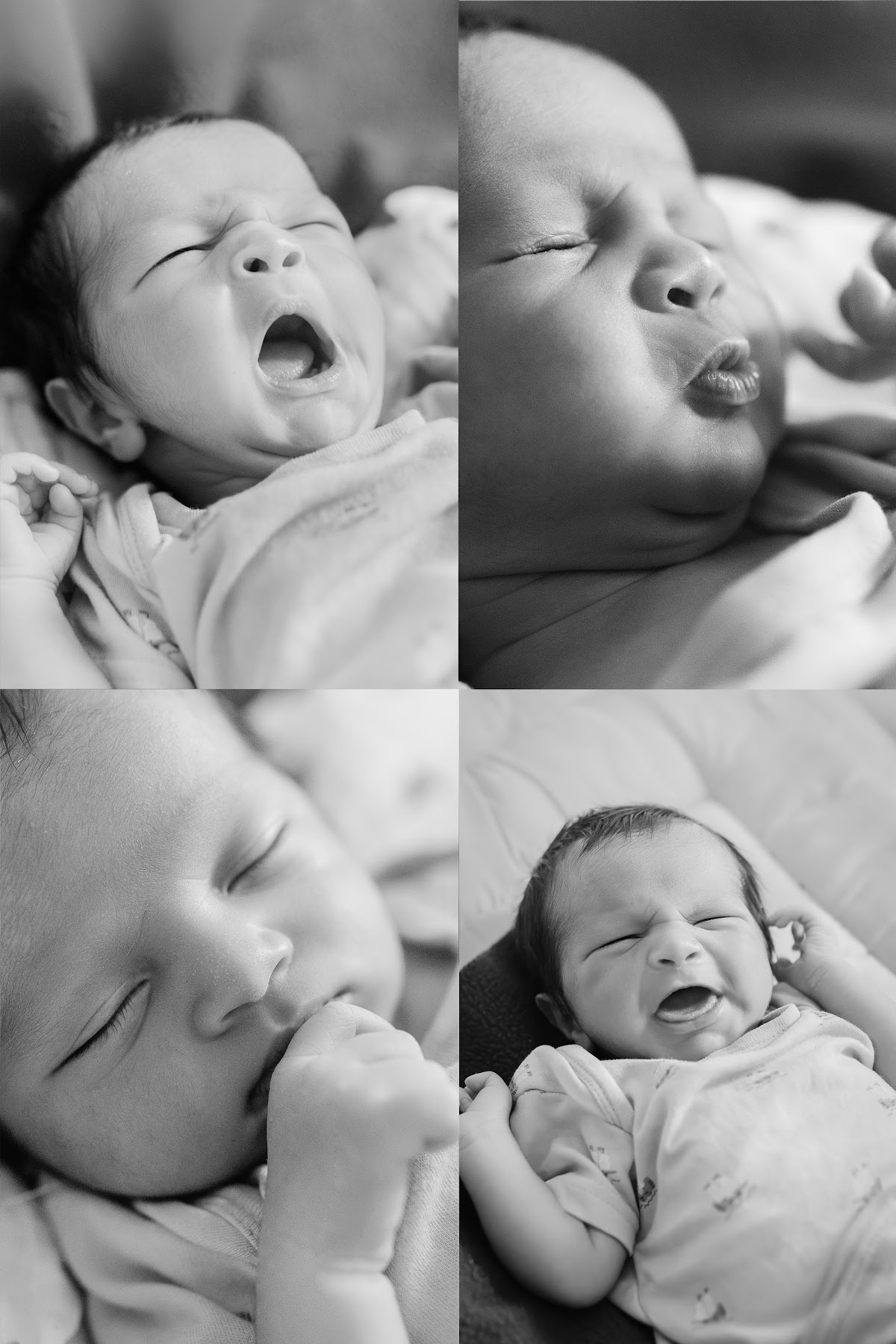 Newborn · 34 frame 1