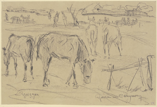 Weidende Pferde in Rzeczyca Russisch Polen 1915