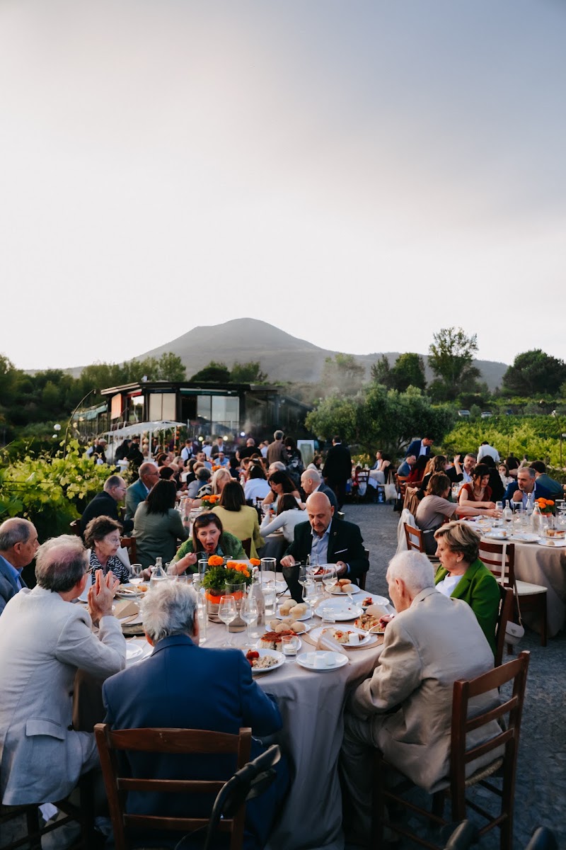 Guests dining at sunset in the vineyard on Mount Vesuvius