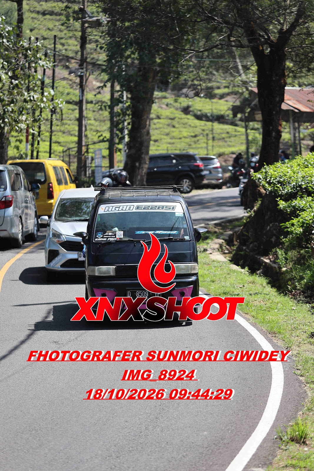 IMG_8924_result.jpg