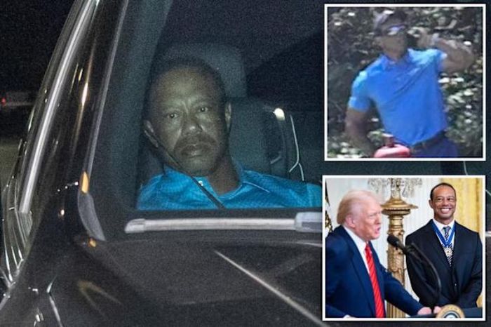 Video chấn động: Tiger Woods 'cầu cứu' Tổng thống Trump vẫn bị còng tay, trùm đầu - Tạp chí Người Đưa Tin