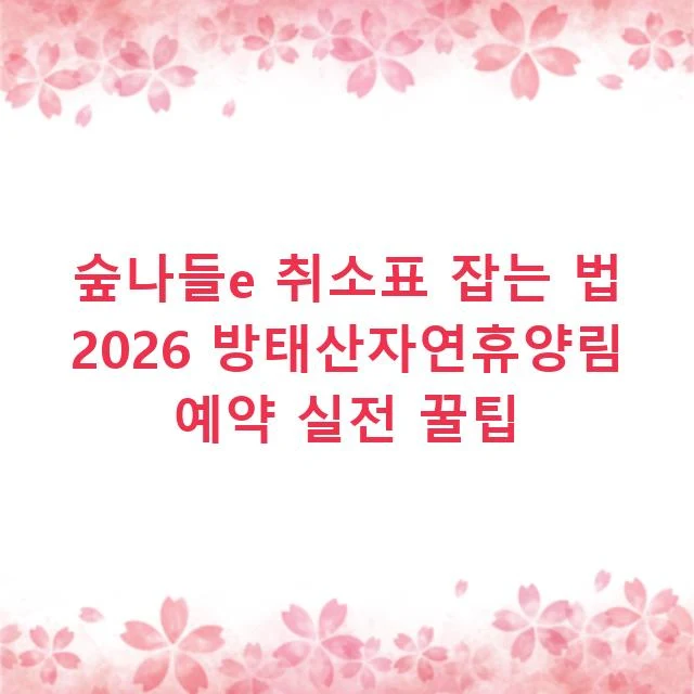 숲나들e 취소표 잡는 법 2026 방태산자연휴양림 예약 실전 꿀팁