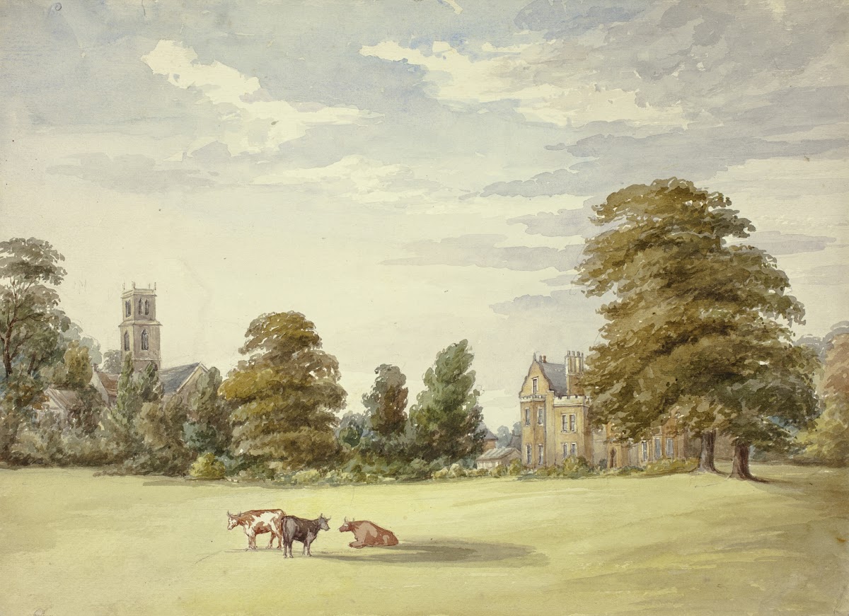 Cows before Manor House and Church