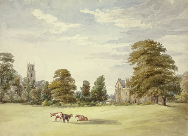 Cows before Manor House and Church