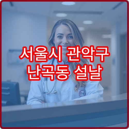 서울시 관악구 난곡동 설날 명절 연휴 당직약국 난곡역·아파트단지 주변 야간 응급약 구매 가능 약국 정보