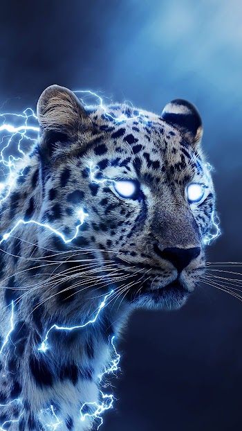 Leopard Digital Art Picture