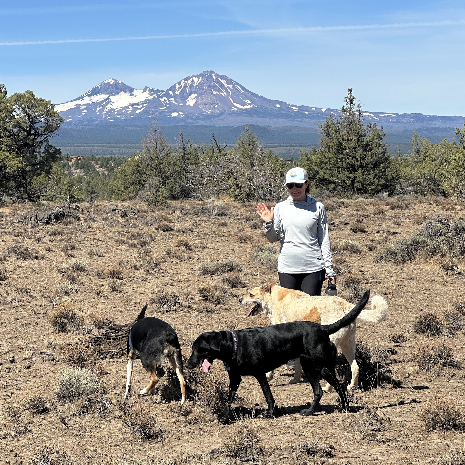 Our team with dogs