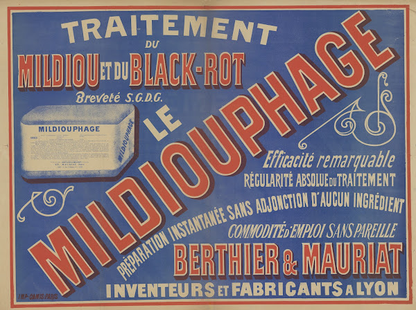Traitement du Mildiou et du black rot Le mildiouphage Berthier  Mauriat inventeu