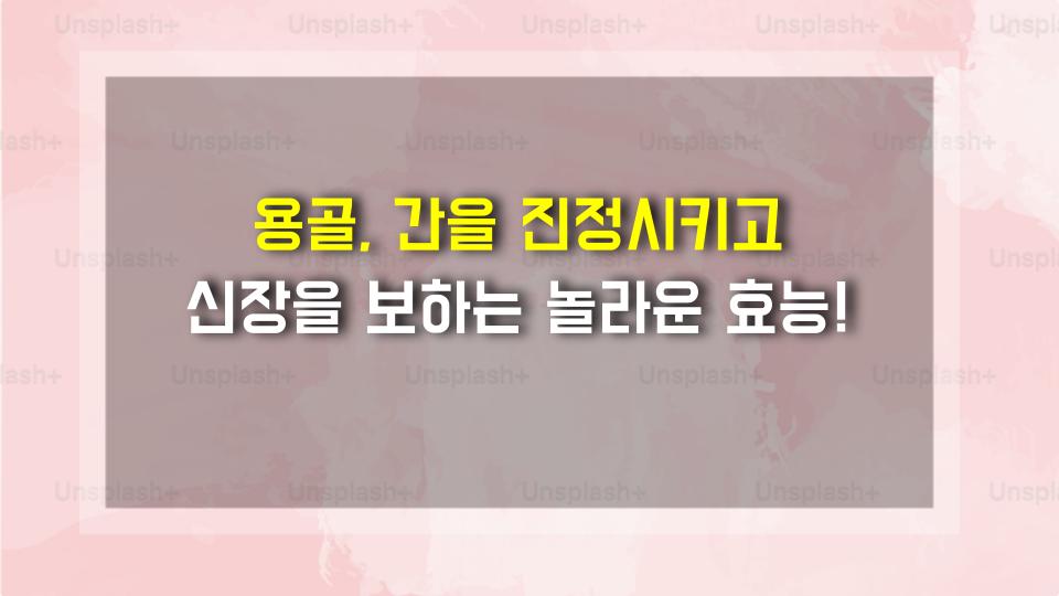 용골, 간을 진정시키고 신장을 보하는 놀라운 효능!