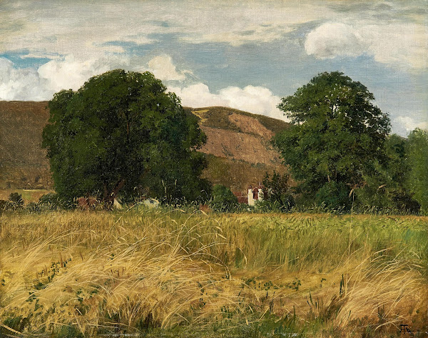 Meadow with two big trees
