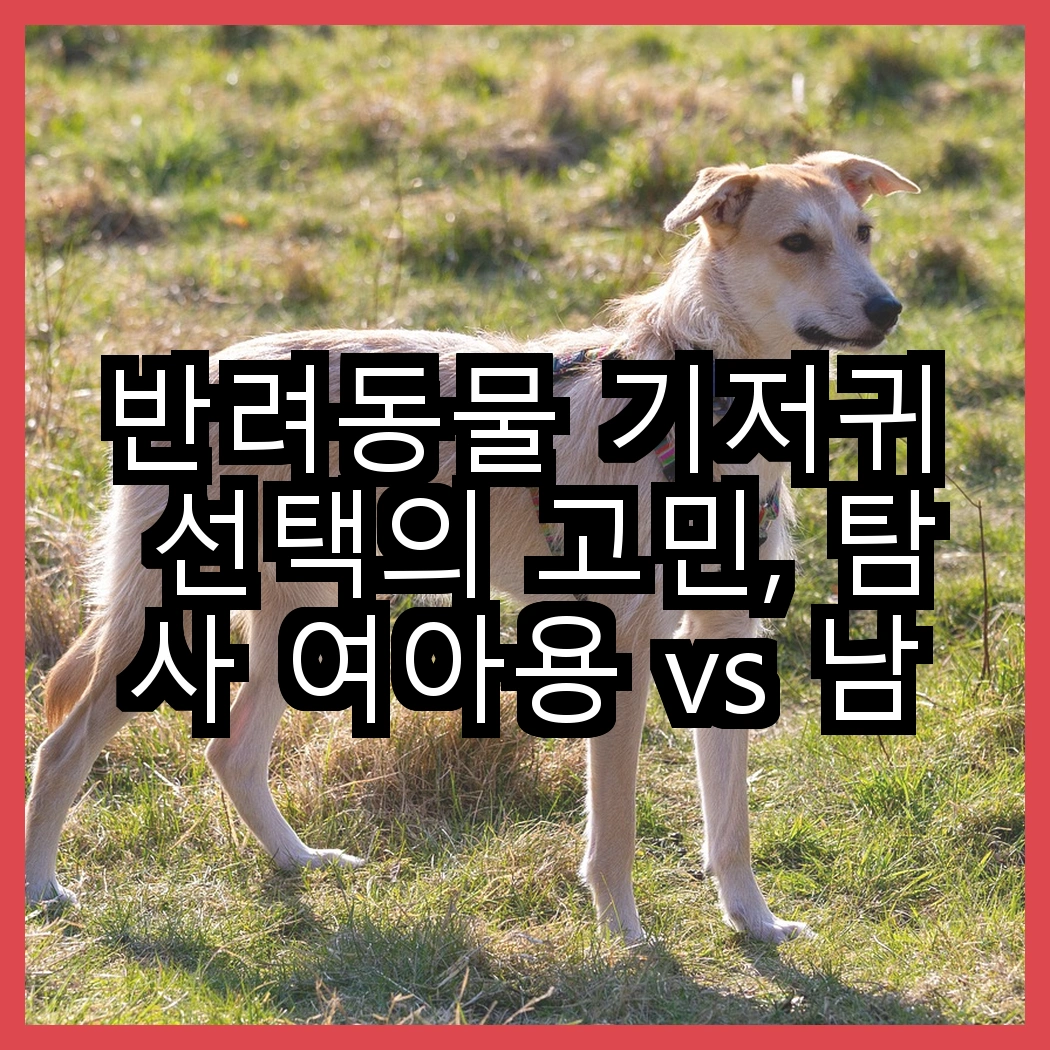 반려동물 기저귀 선택의 고민, 탐사 여아용 vs 남아용 기저귀, 어떤 차이가 있을까? 썸네일