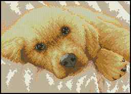 CMP 400276 Golden Puppy
