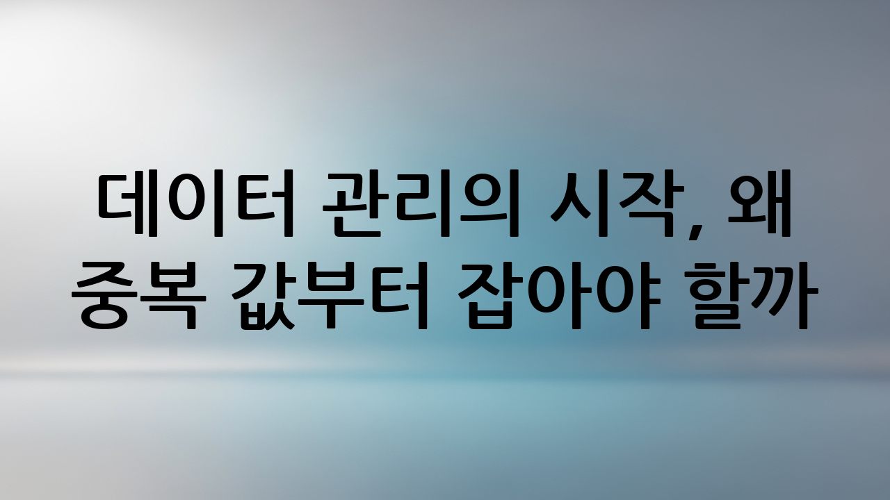 데이터 관리의 시작, 왜 중복 값부터 잡아야 할까?