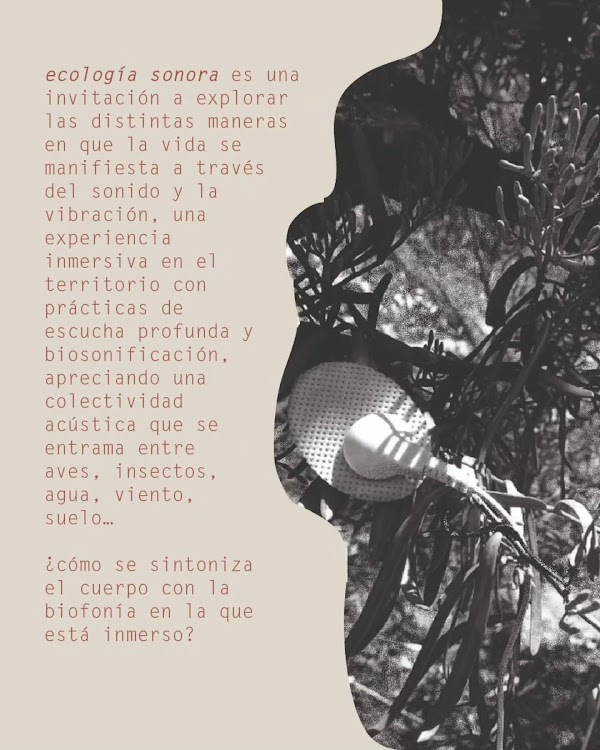 Ecología Sonora