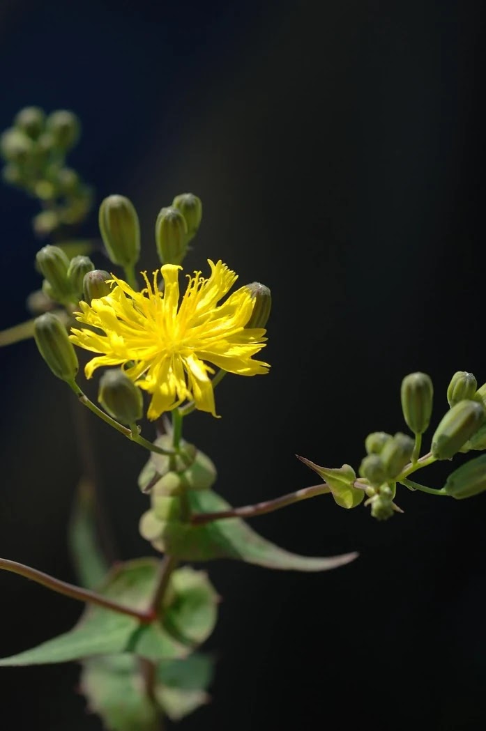 재개발과 재건축 사업 절차 및 투자자 판단 기준 비교