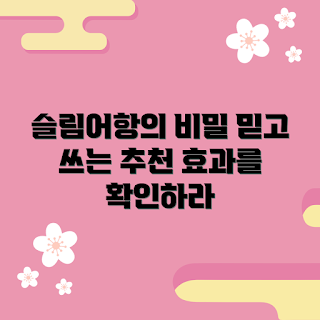 3자슬림어항, 슬림어항 추천, 수조 효율, 어항 관리, 수조 디자인