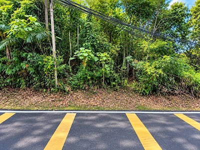 Tanah 5.3 Ekar Tepi Jalan Sungai Merab Dengkil Sepang — foto 2/5