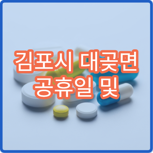 김포시 대곶면 공휴일 및 대체 공휴일 문 여는 병원 찾기