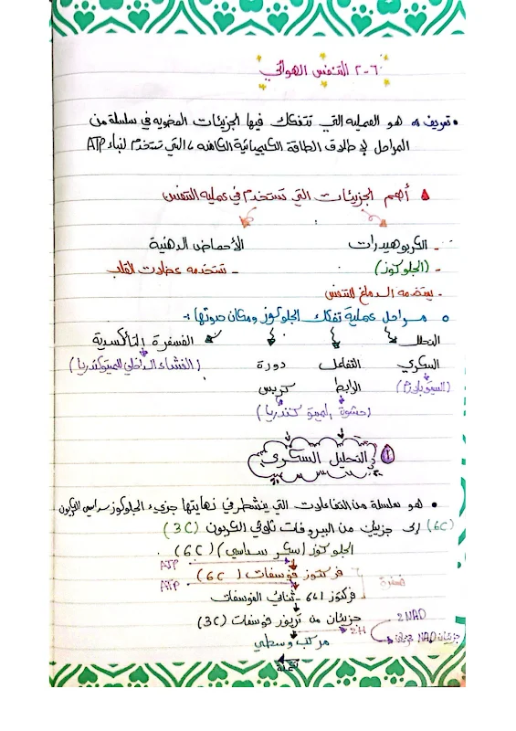 صورة الغلاف