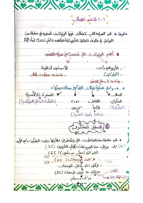 شرح درس التنفس الهوائي بخط اليد - أحياء الصف 12 الفصل 2
