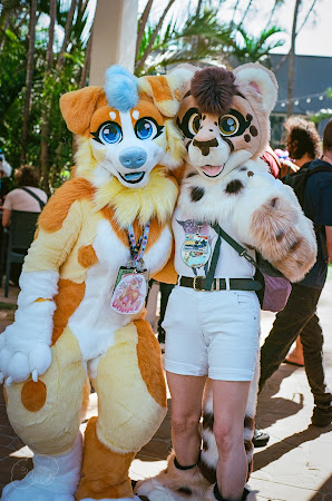 furdu-9.jpg