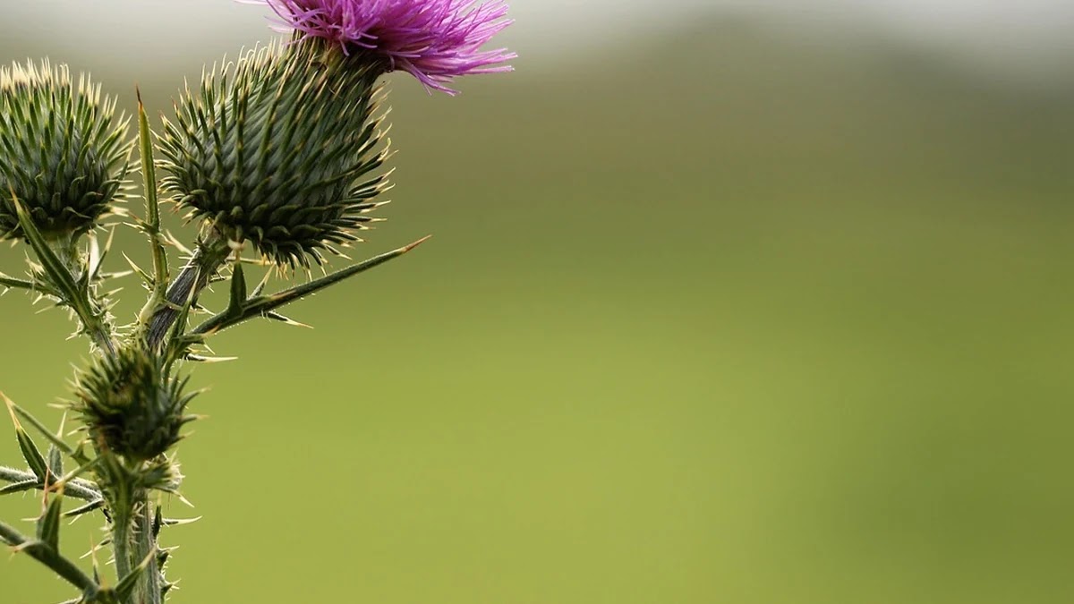 자취생이 몰랐던 가스요금 절약하는 작은 습관