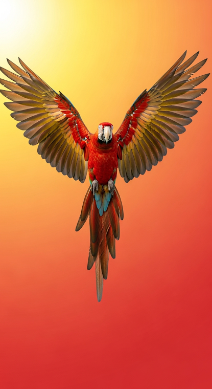 Flying Macaw Warm Background