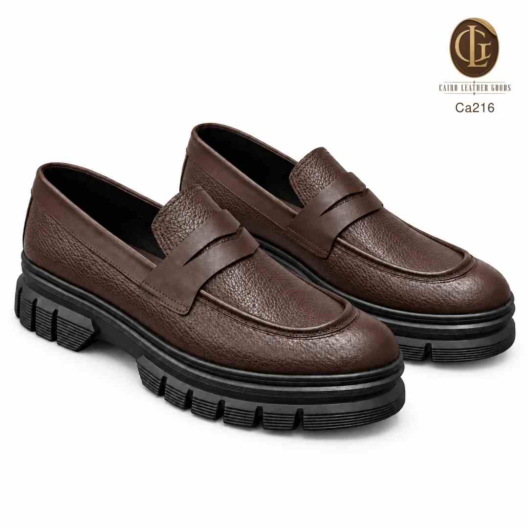 Ca216 بني