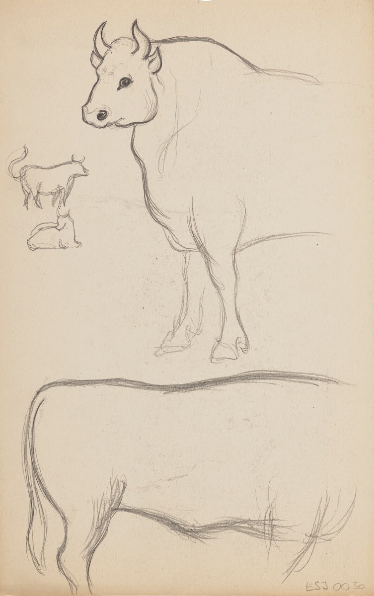 Études danimaux de paysages et de modèles