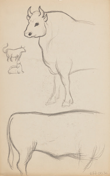 Études danimaux de paysages et de modèles