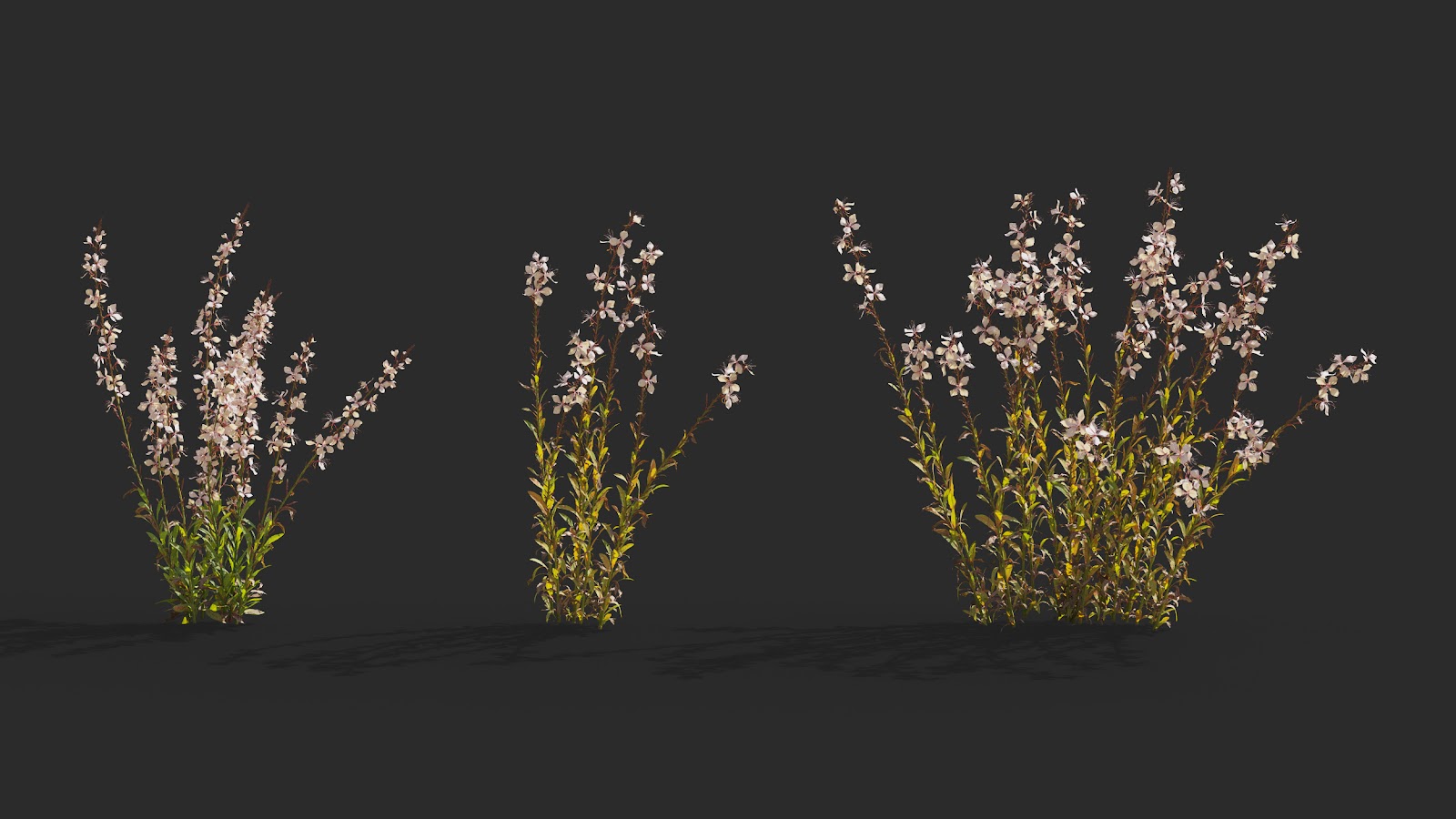 Maxtree - Plant Models Vol.64