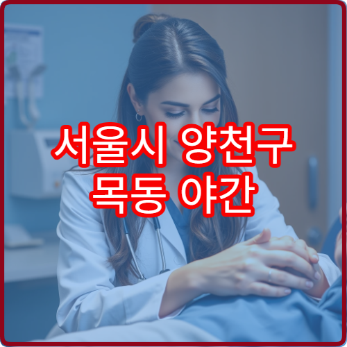 서울시 양천구 목동 야간 진료 가능한 산부인과 긴급 상황 시 참고 정보
