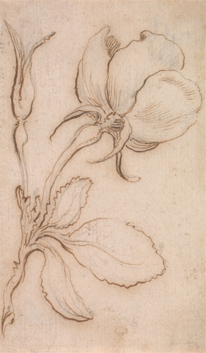 A Study of Pinks and Roses 2