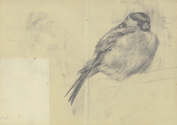 Singing bird