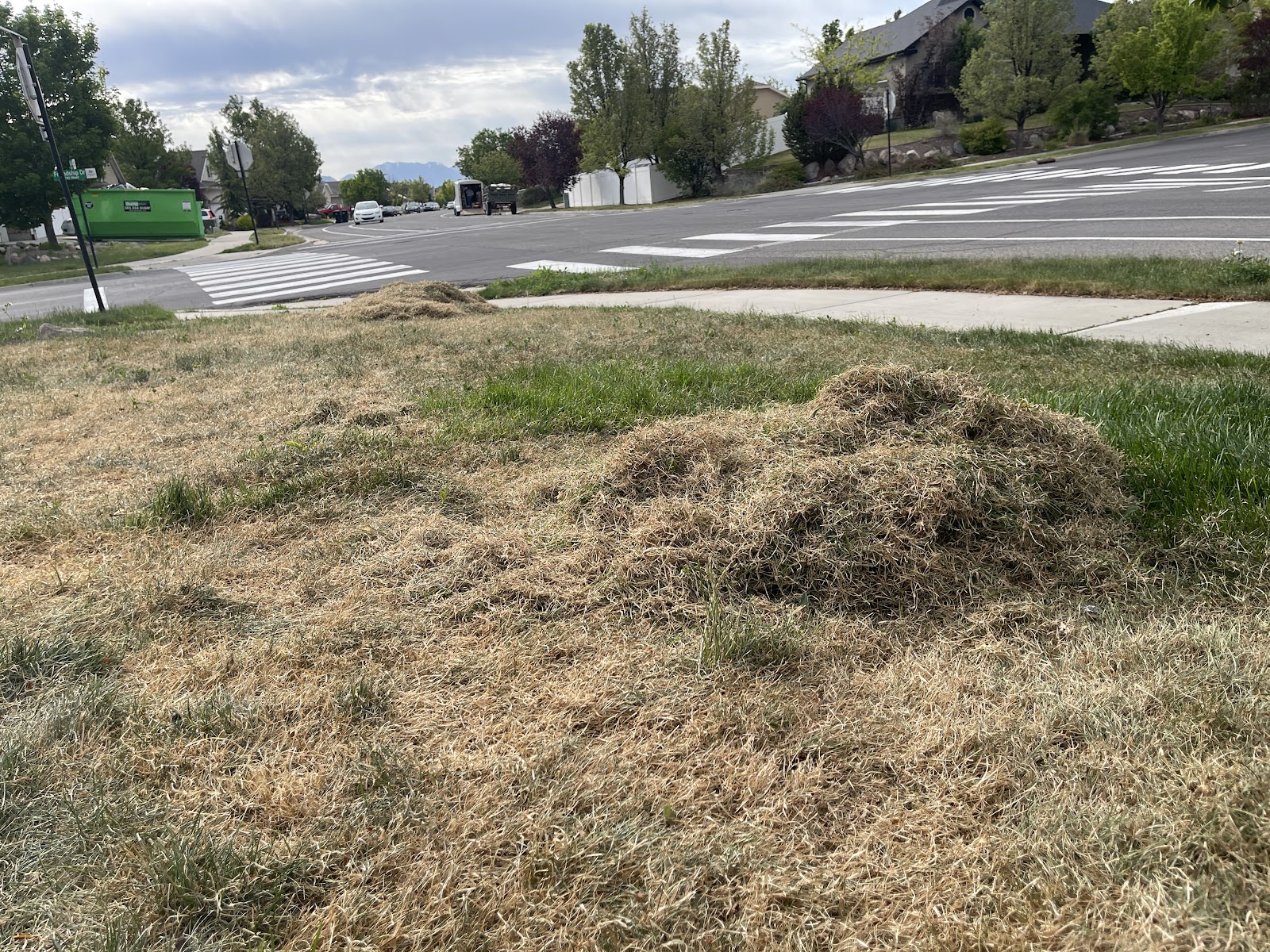 Ut lawn Care work portfolio 1