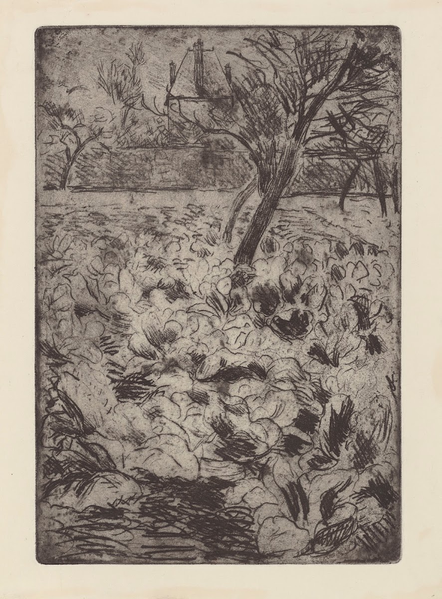 Le champ de choux 1880