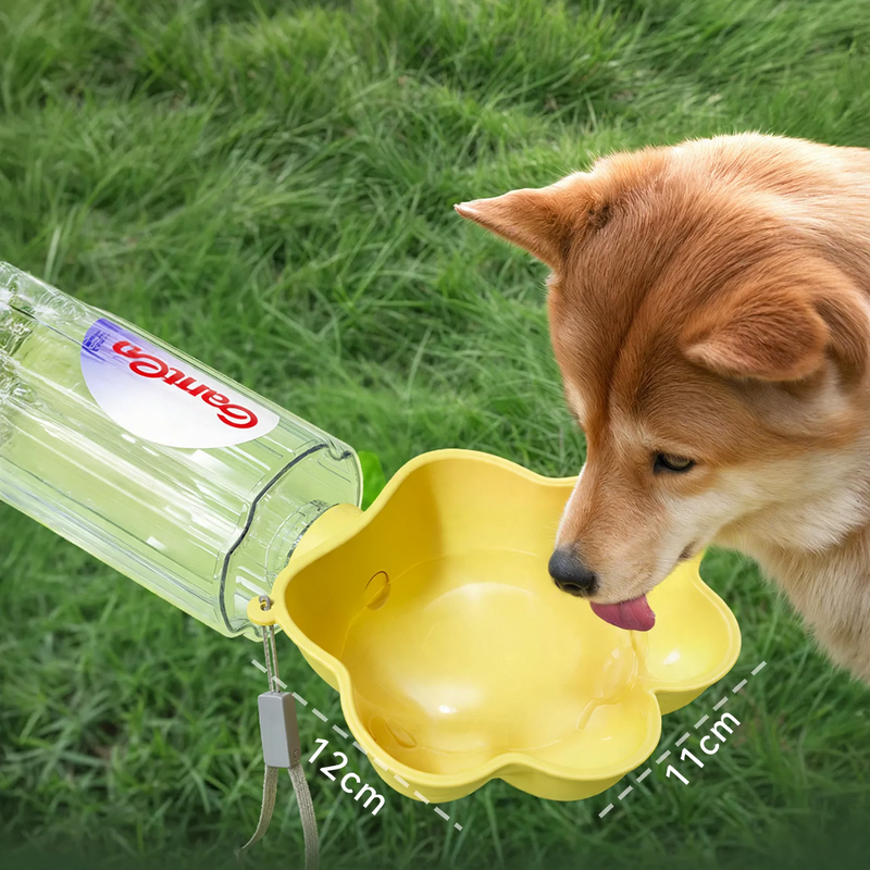 Water bottle attachment for pets