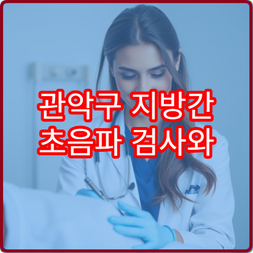 관악구 지방간 초음파 검사와 간 기능 회복 치료 병원 안내