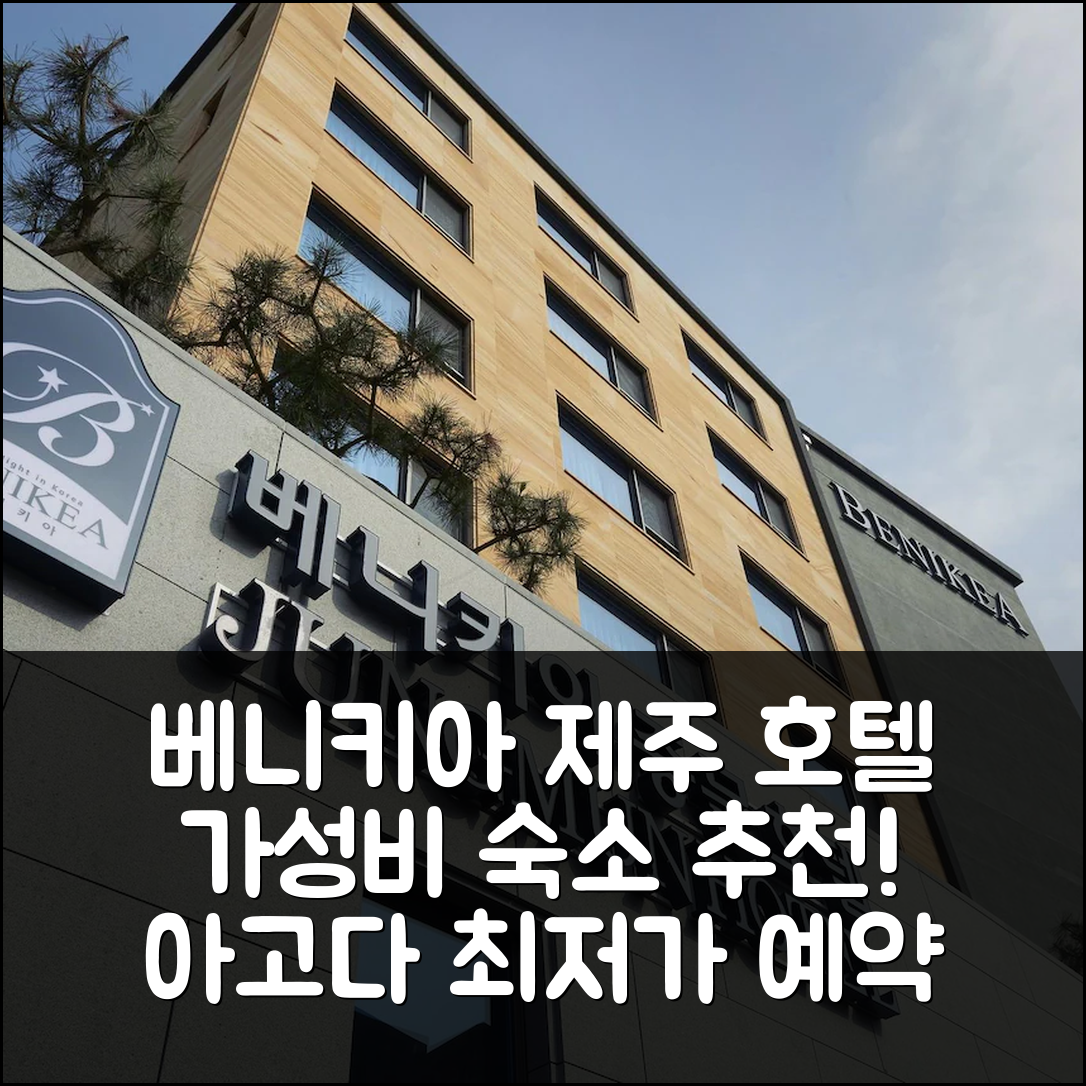 베니키아 중문 호텔 제주 가성비 예약 후기 - 아고다 호텔 추천