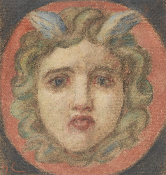 Medusas Head