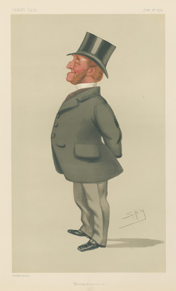 Politicians  Montgomeryshire Mr Charles Watkin Williams Wynn 28 June 1879 1879