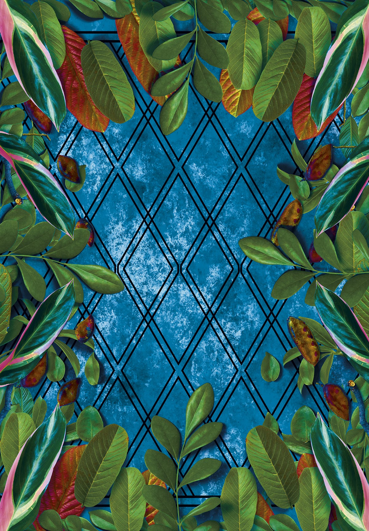 Kilim Collection 85